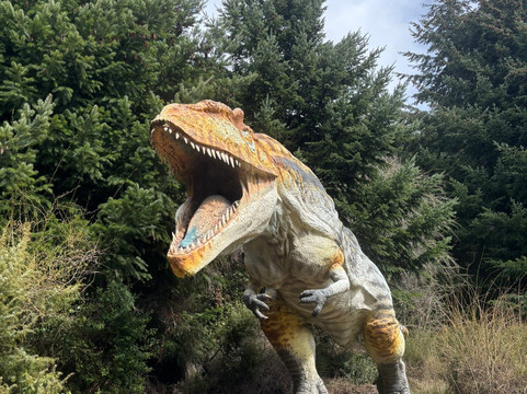 Parque Nahuelito-圣卡洛斯-德巴里洛切必去景点