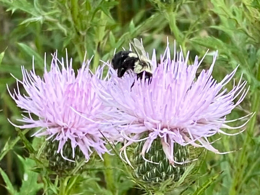 Ledges State Park-Madrid必去景点