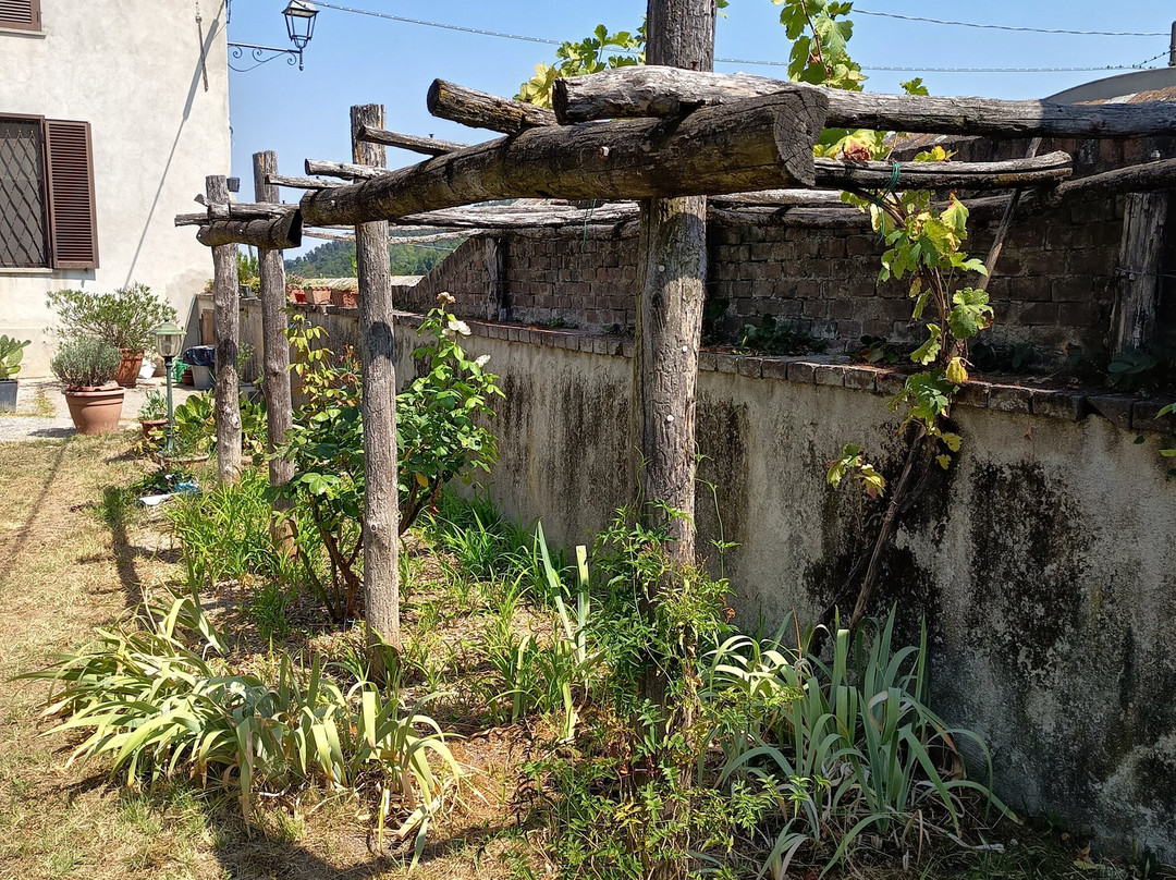 Cascina Zenevrea主图