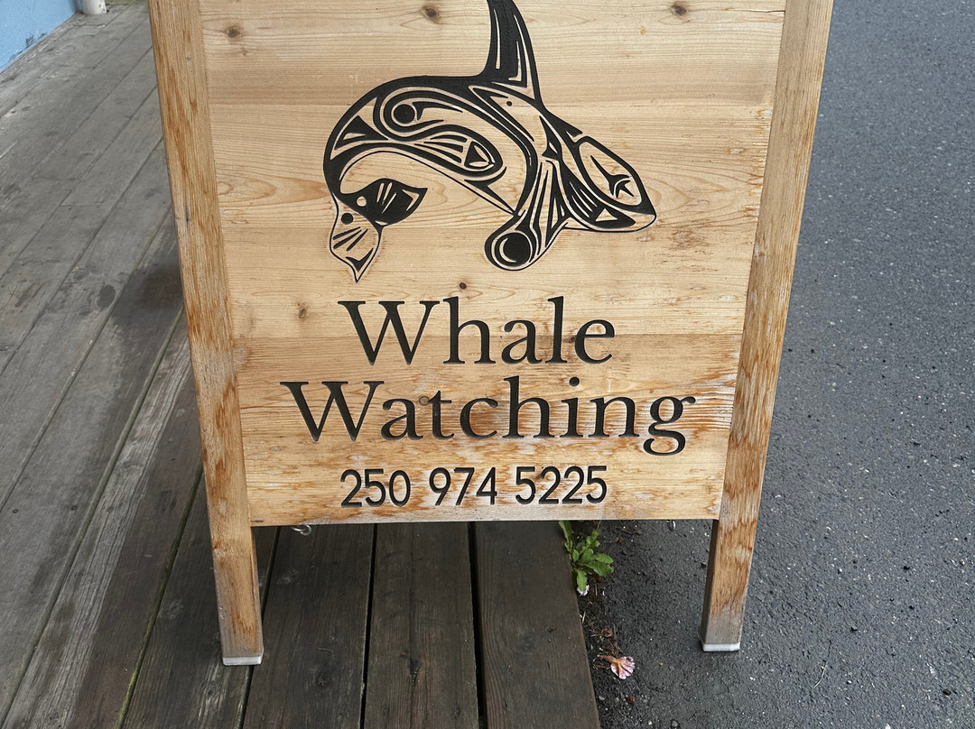 Seasmoke Whale Watching-Alert Bay必去景点