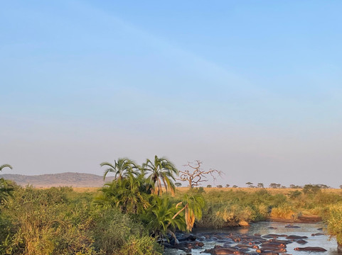 Glitzy Safaris-阿鲁沙必去景点