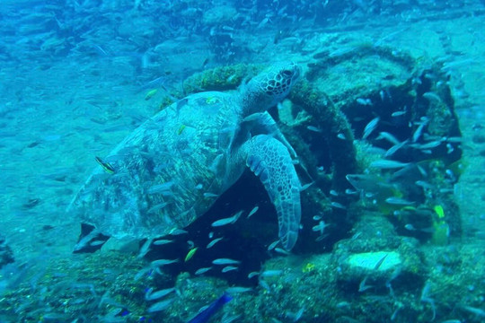 Xoc Baja Tours-拉巴斯必去景点