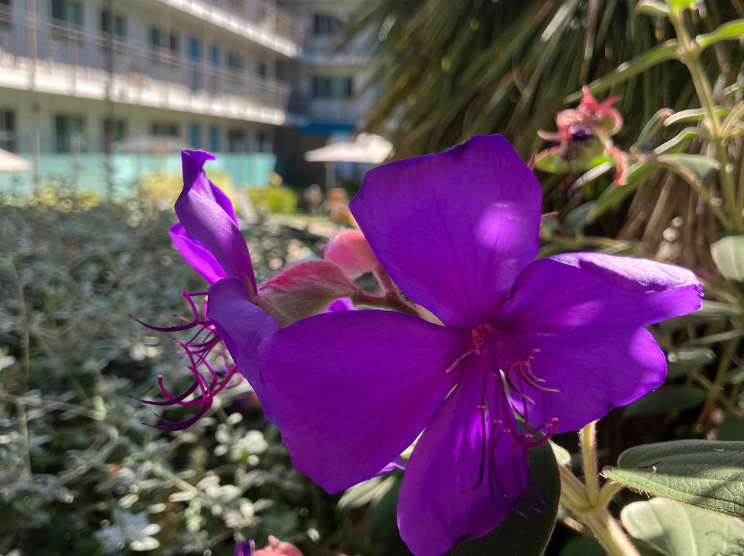 马林套房酒店主图