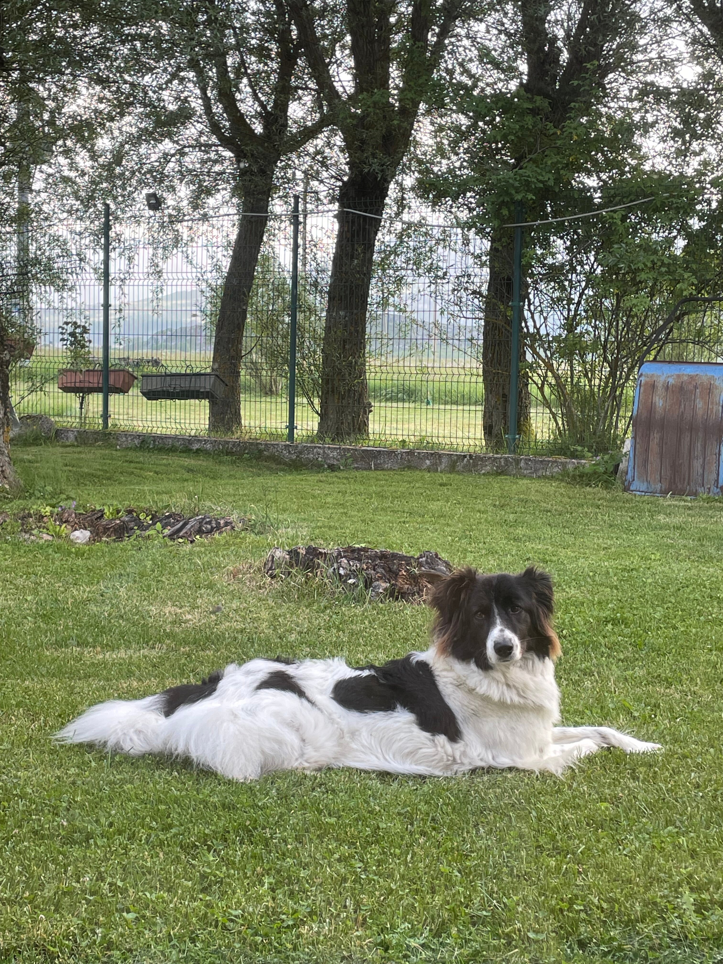 Masseria Cerasella-浴室