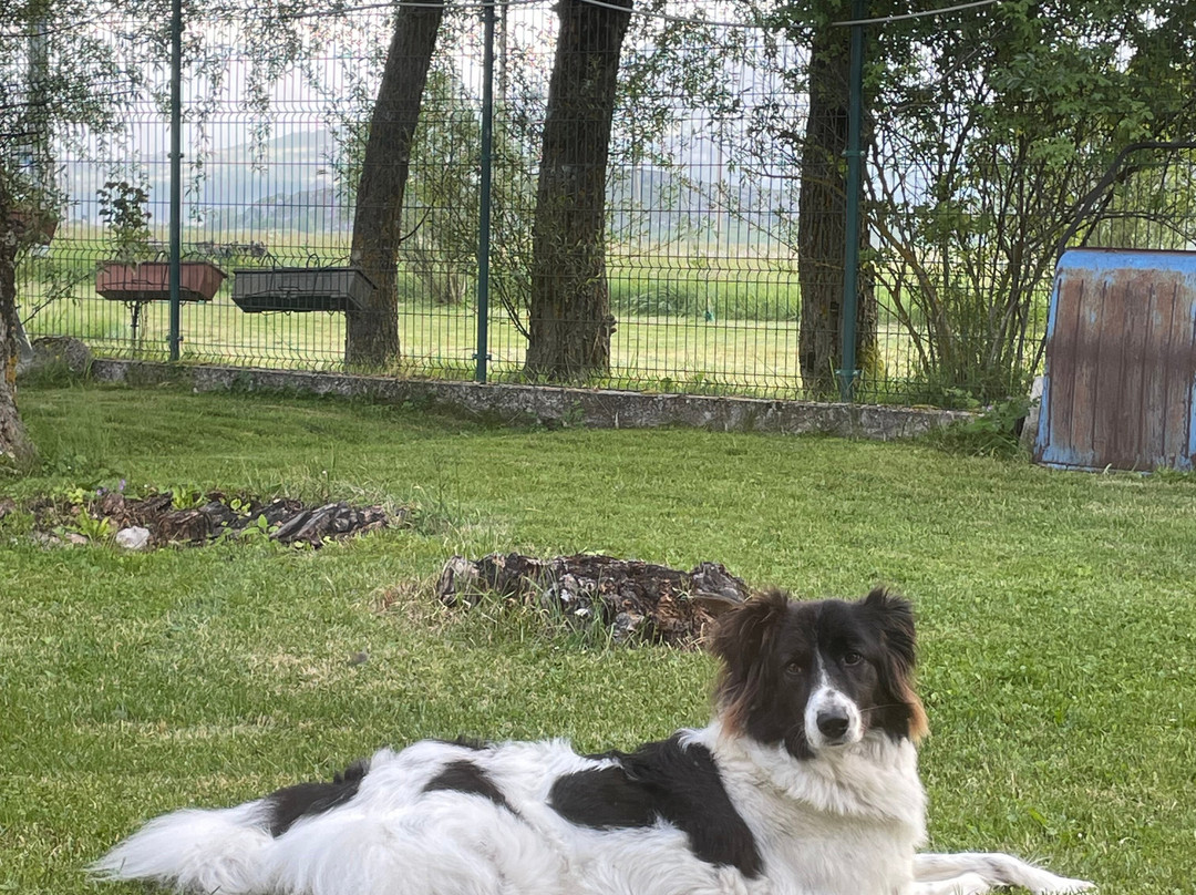 Masseria Cerasella主图