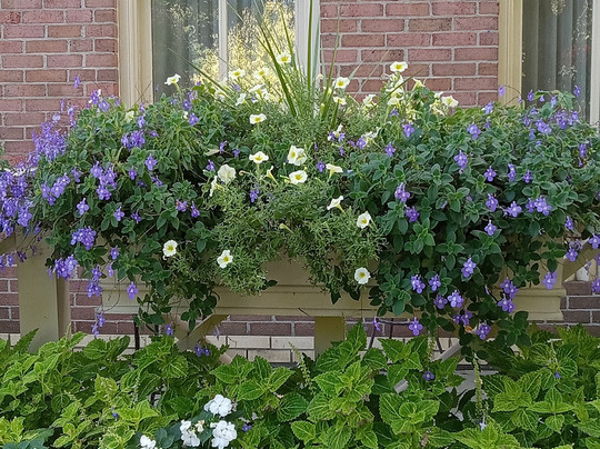 莫法特酒店主图