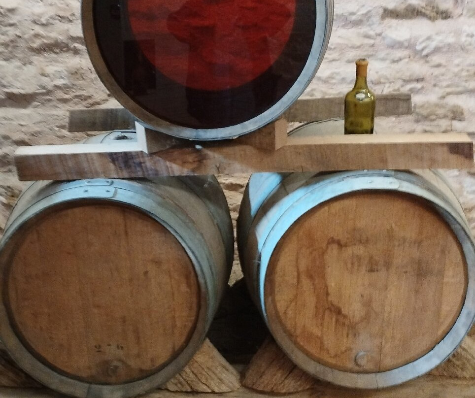 Musée de la Vigne et du Vin-Arbois必去景点