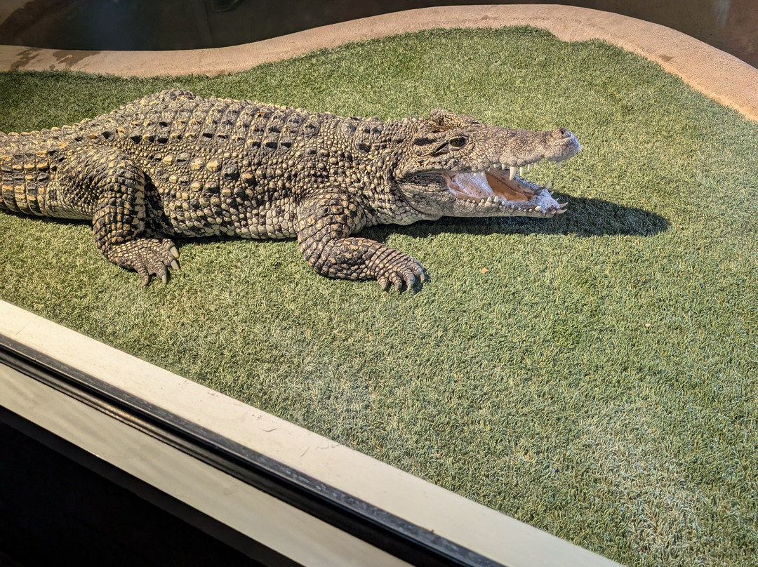 爬虫公园-拉皮德城必去景点