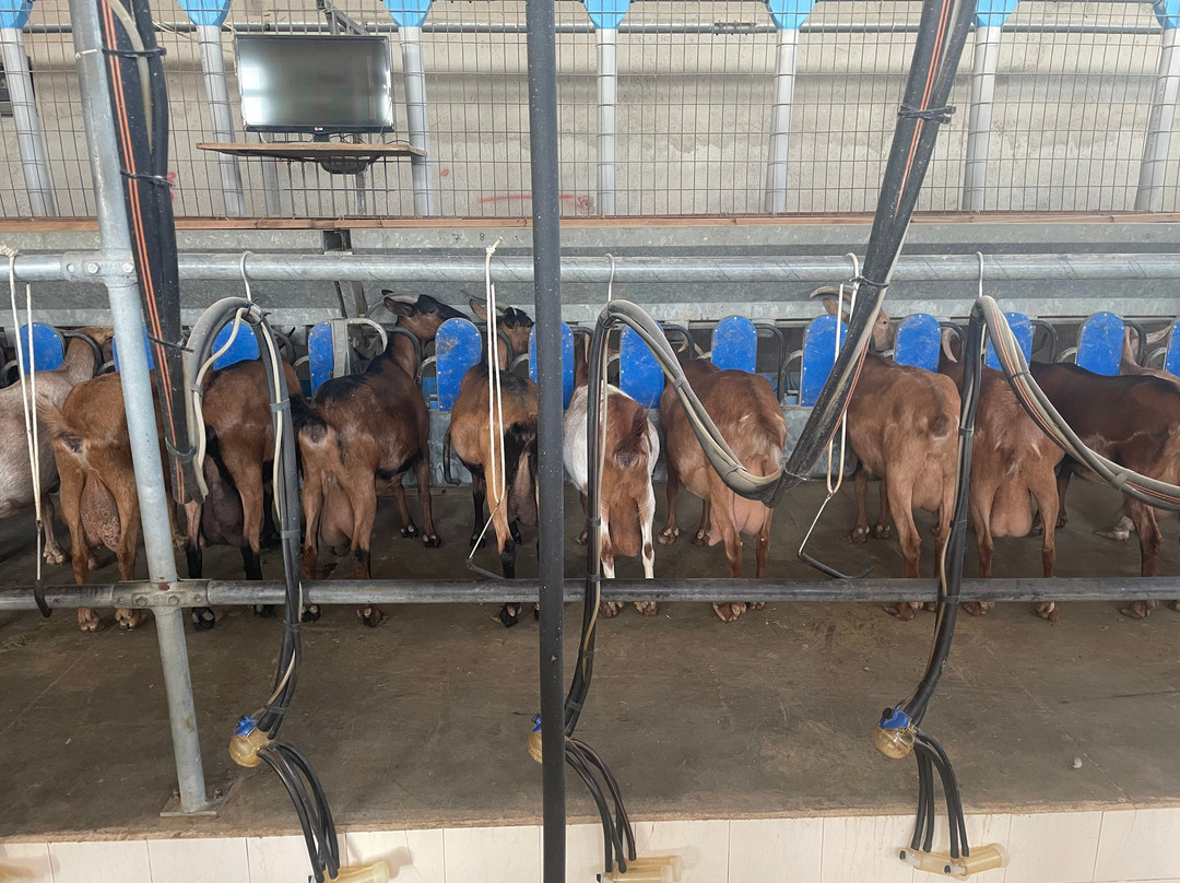 Arkadianos farm-Stavromenos Rethymnis必去景点