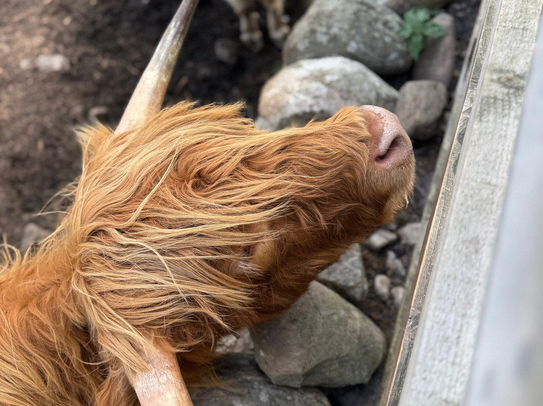 Clans And Castles-爱丁堡必去景点