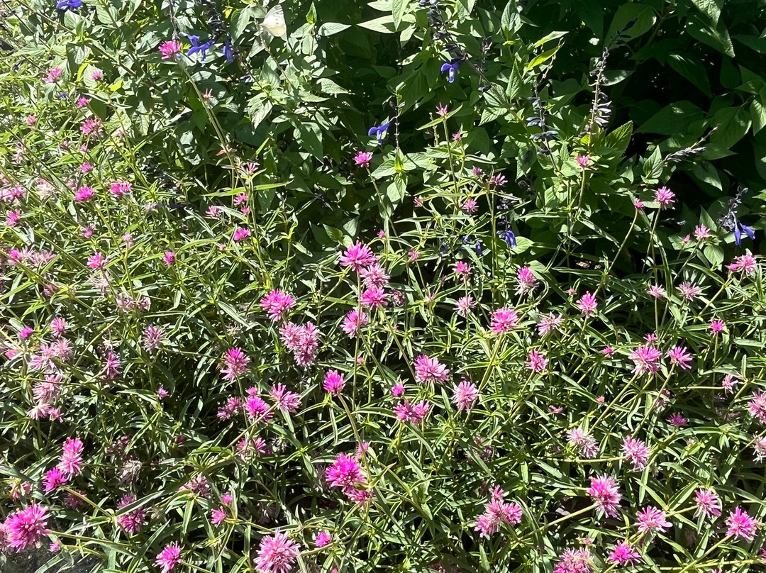 Rocca di Angera-Angera必去景点