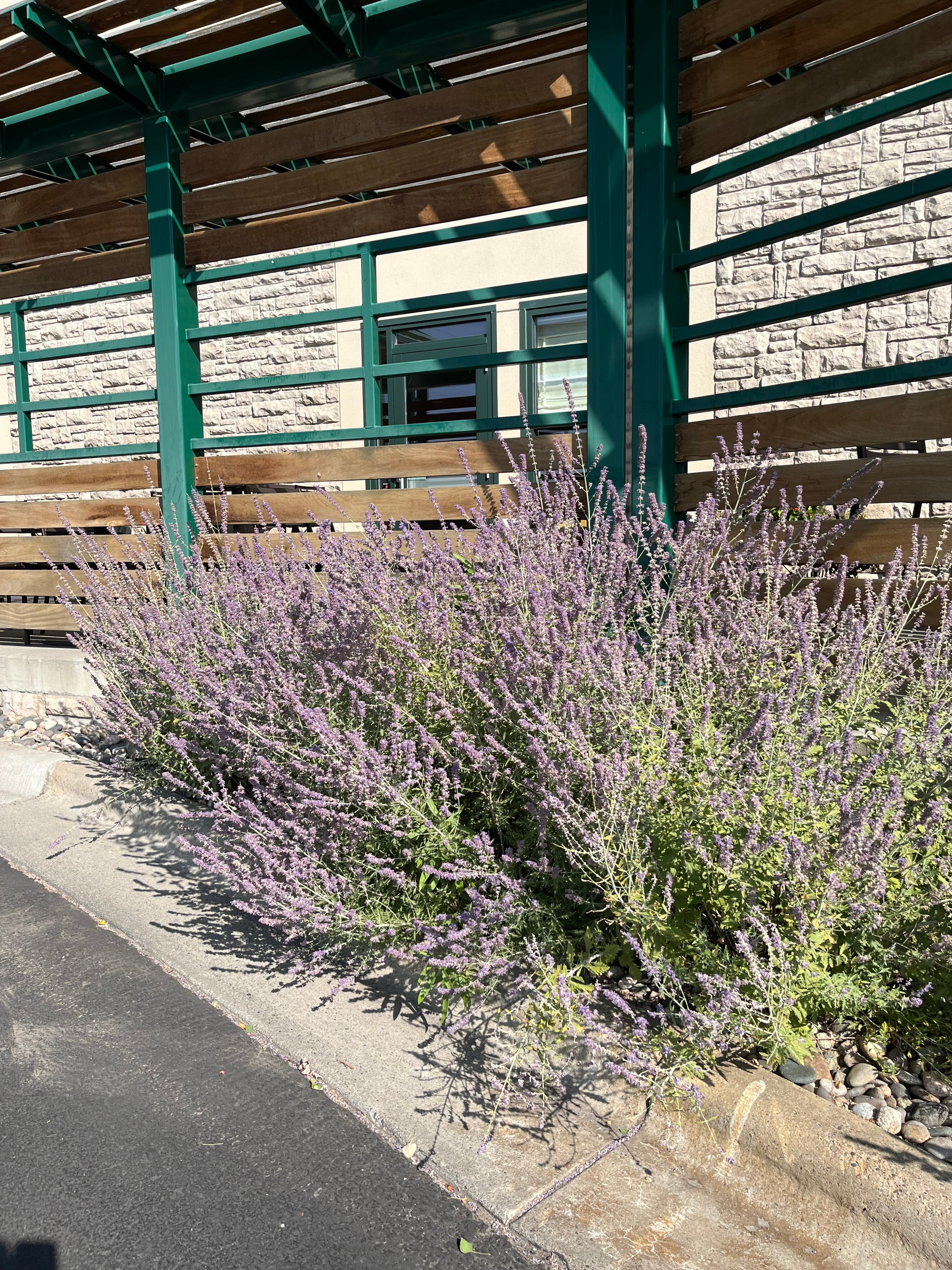 布特希尔套房酒店-浴室