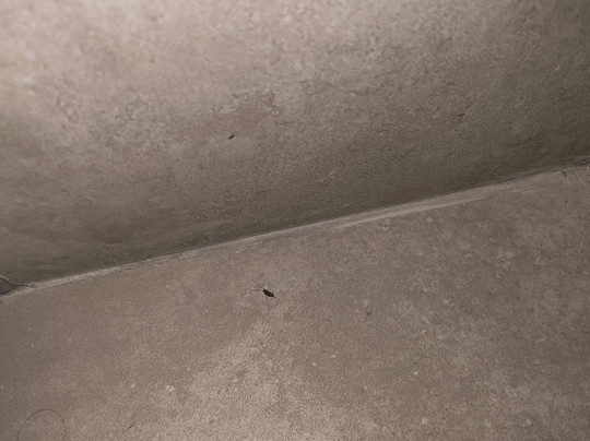 Blue Sea Holiday Village主图