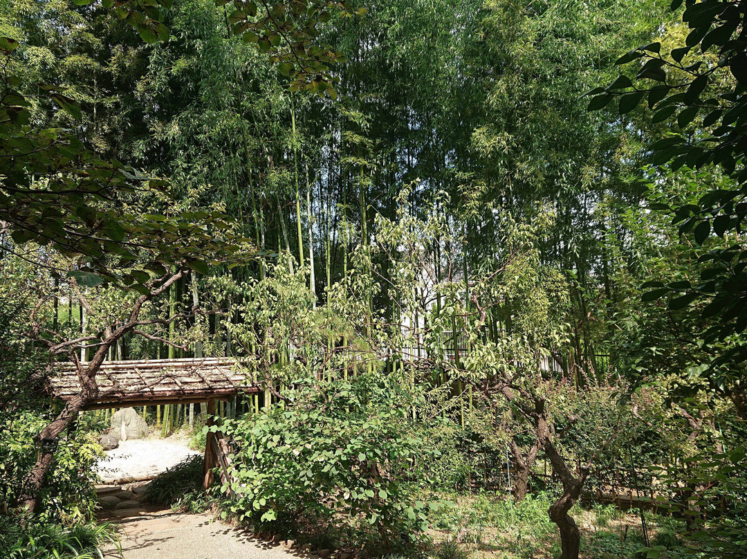 Akatsuka Botanical Gardens-板桥区必去景点