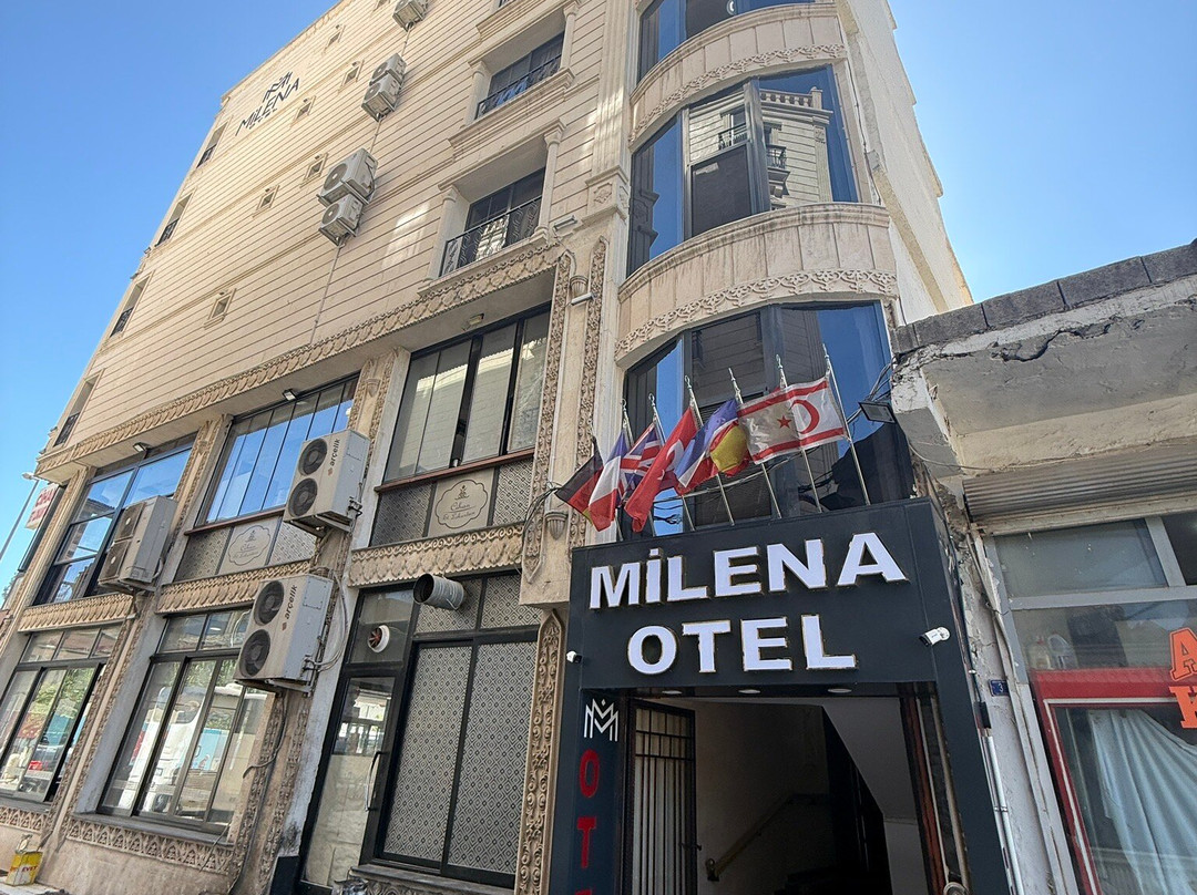 Milena Otel
