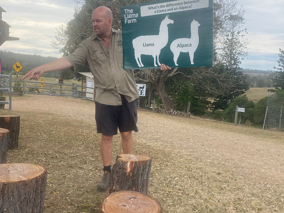 The Llama Farm-伊普斯威奇必去景点