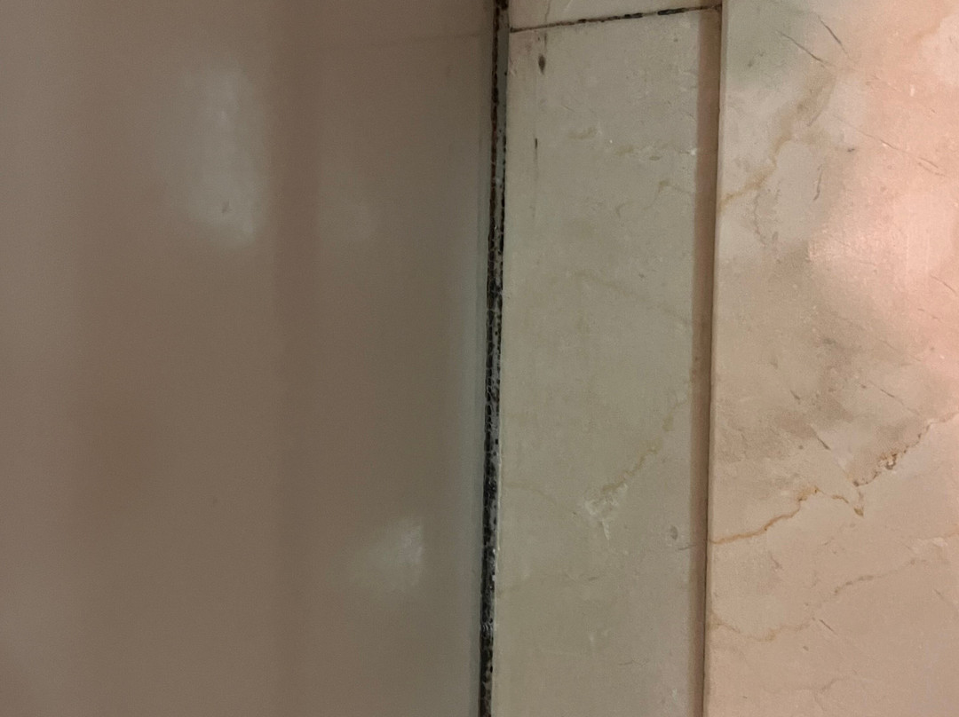 镰仓王子大饭店主图