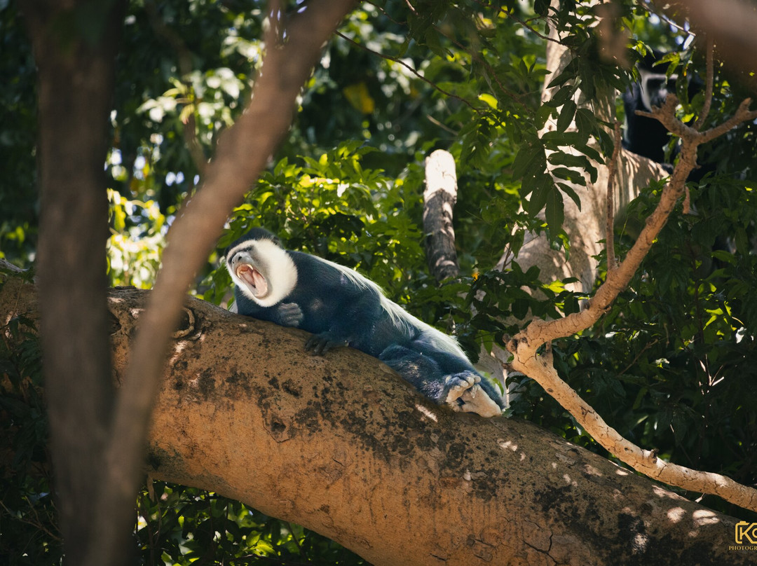 Maze National Park-Southern Nations, Nationalities, and People's Region必去景点