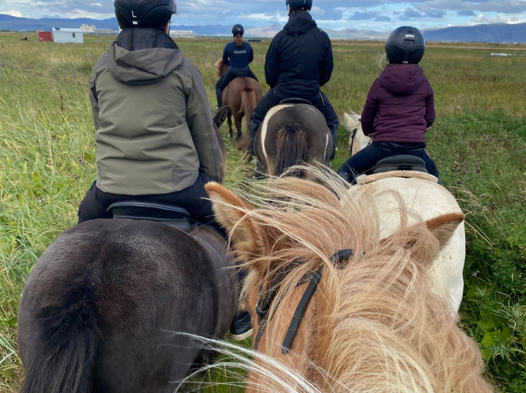 Bakkahestar-Eyrarbakki必去景点