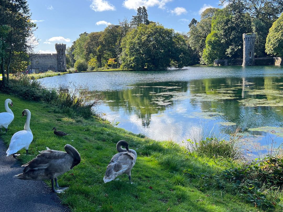 Johnstown Castle-County Wexford必去景点