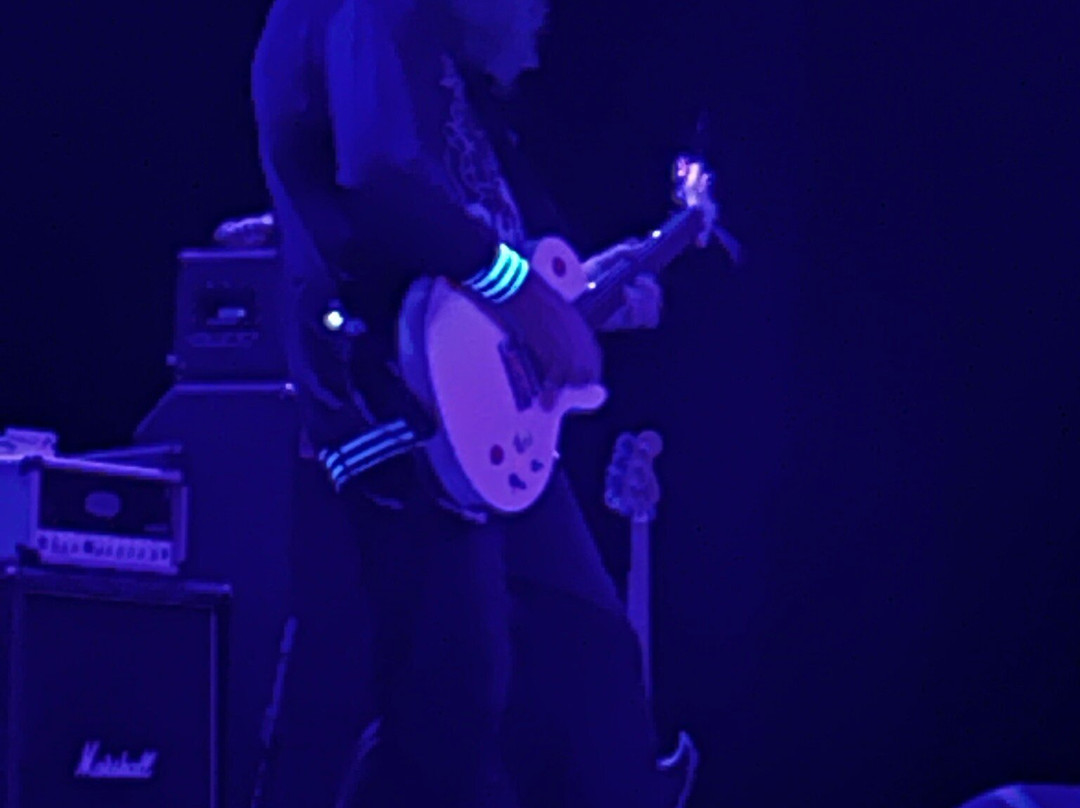 Plaza Live Theatre-奥兰多必去景点