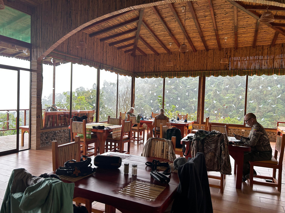 San Jorge Eco-Lodge & Botanical Reserve主图