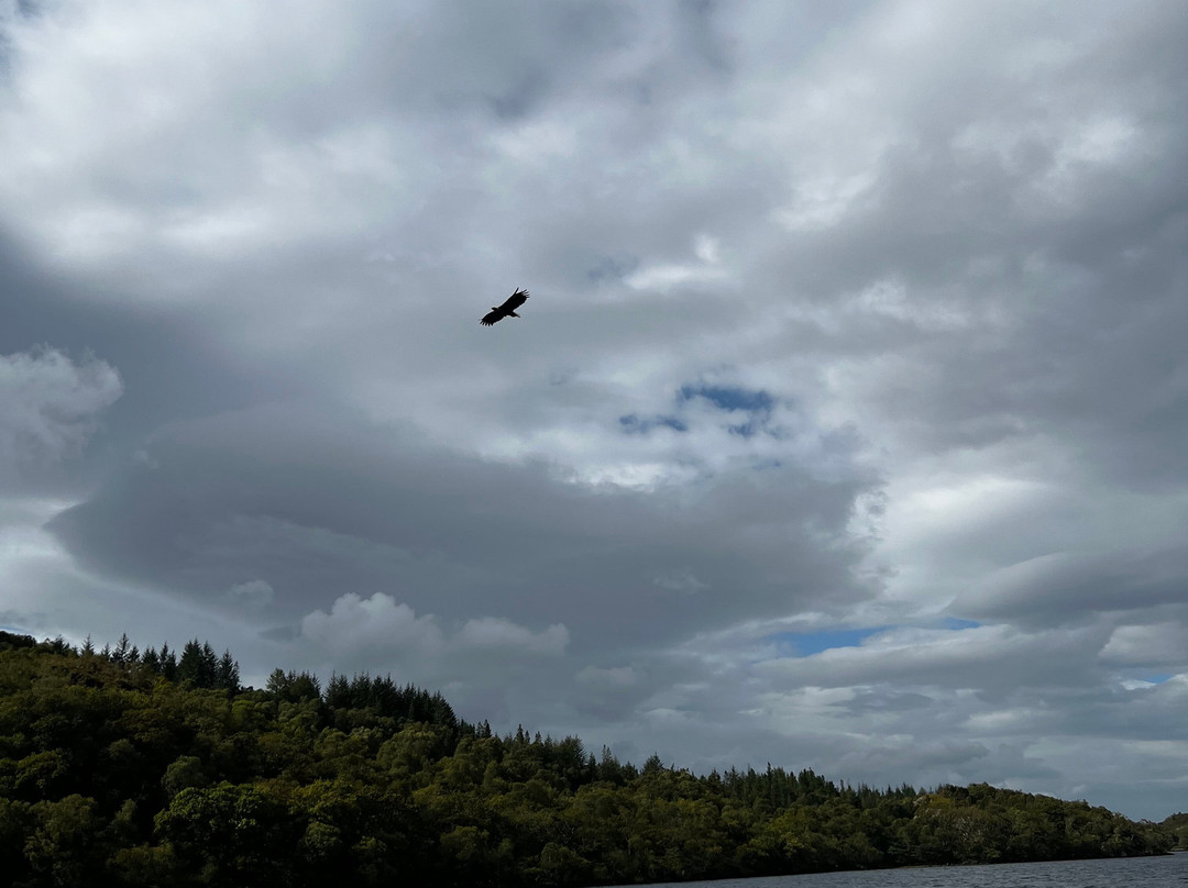 Loch Shiel Cruises-Glenfinnan必去景点