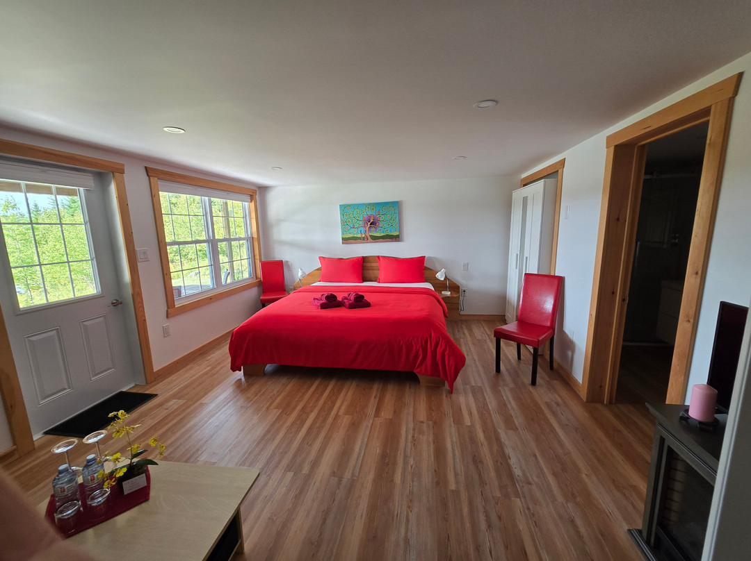 A B&b By The River主图