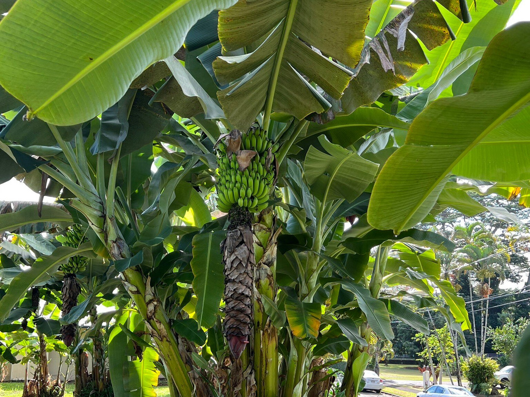 海豚湾酒店主图