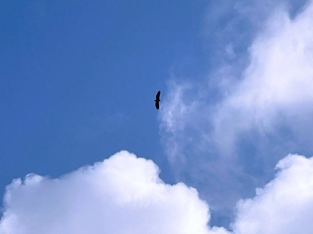 Isle of Skye Wildlife Tours -Tours-Portree必去景点