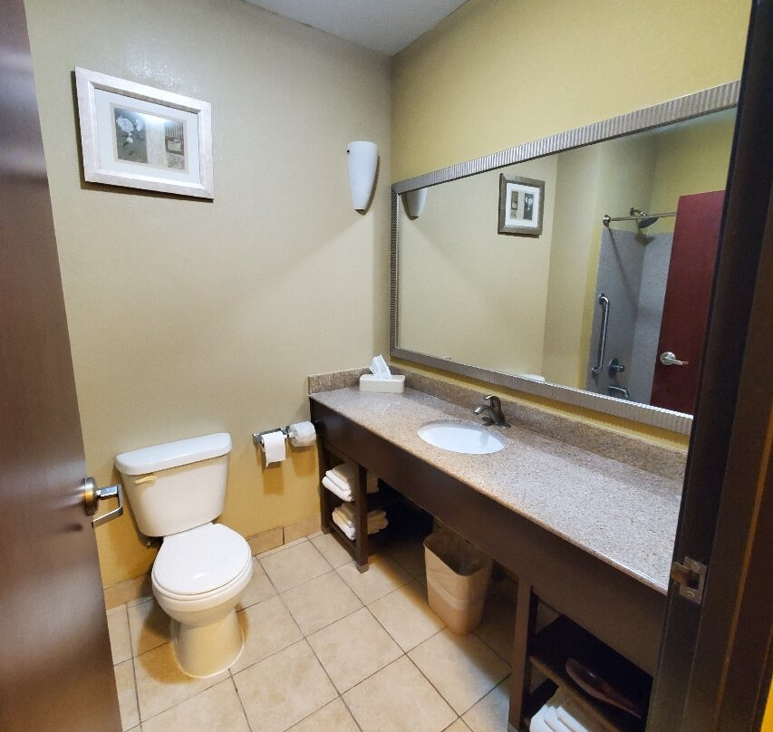 Comfort Inn & Suites Monggomery主图