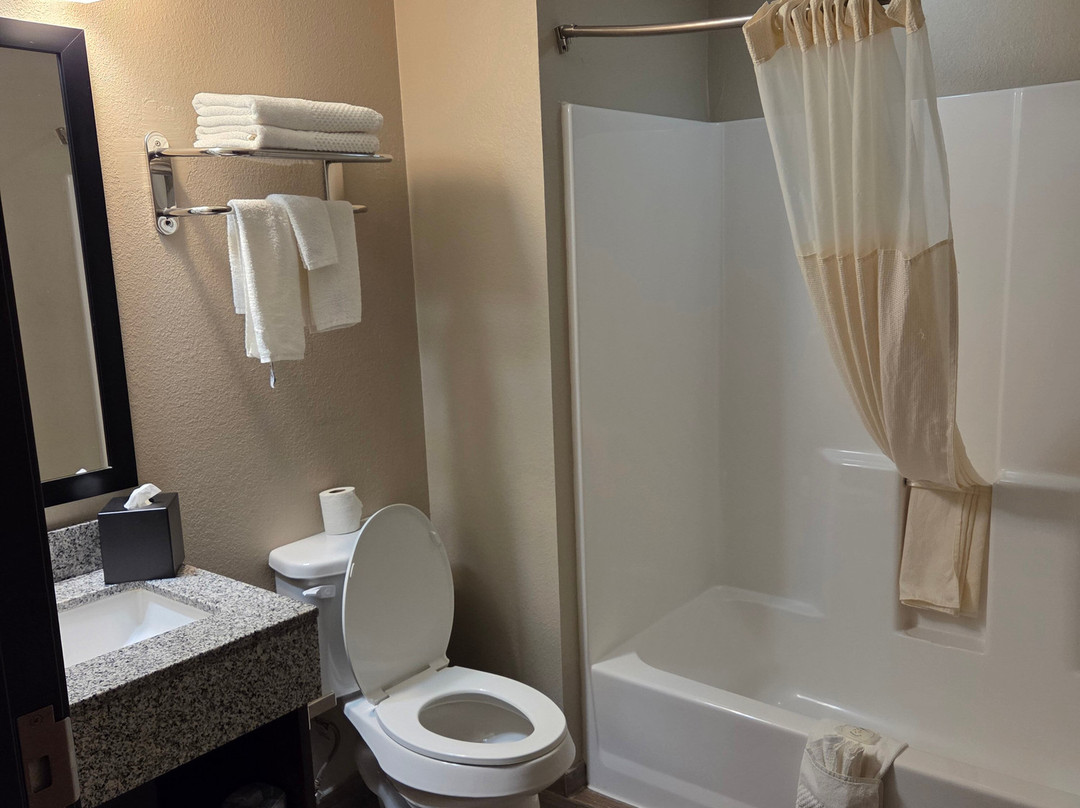 Quality Inn & Suites主图