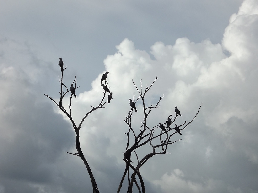 Udawalawe Trails-乌达瓦拉瓦必去景点