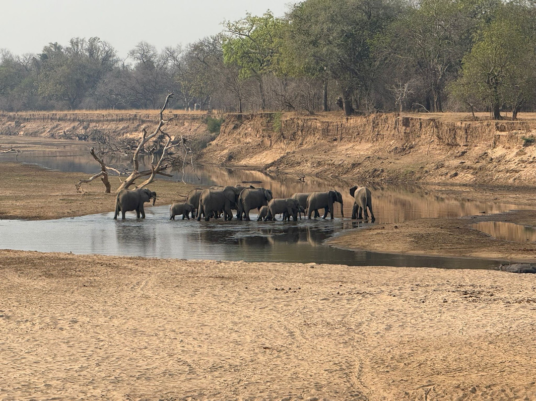 Shenton Safaris Kaingo Camp主图