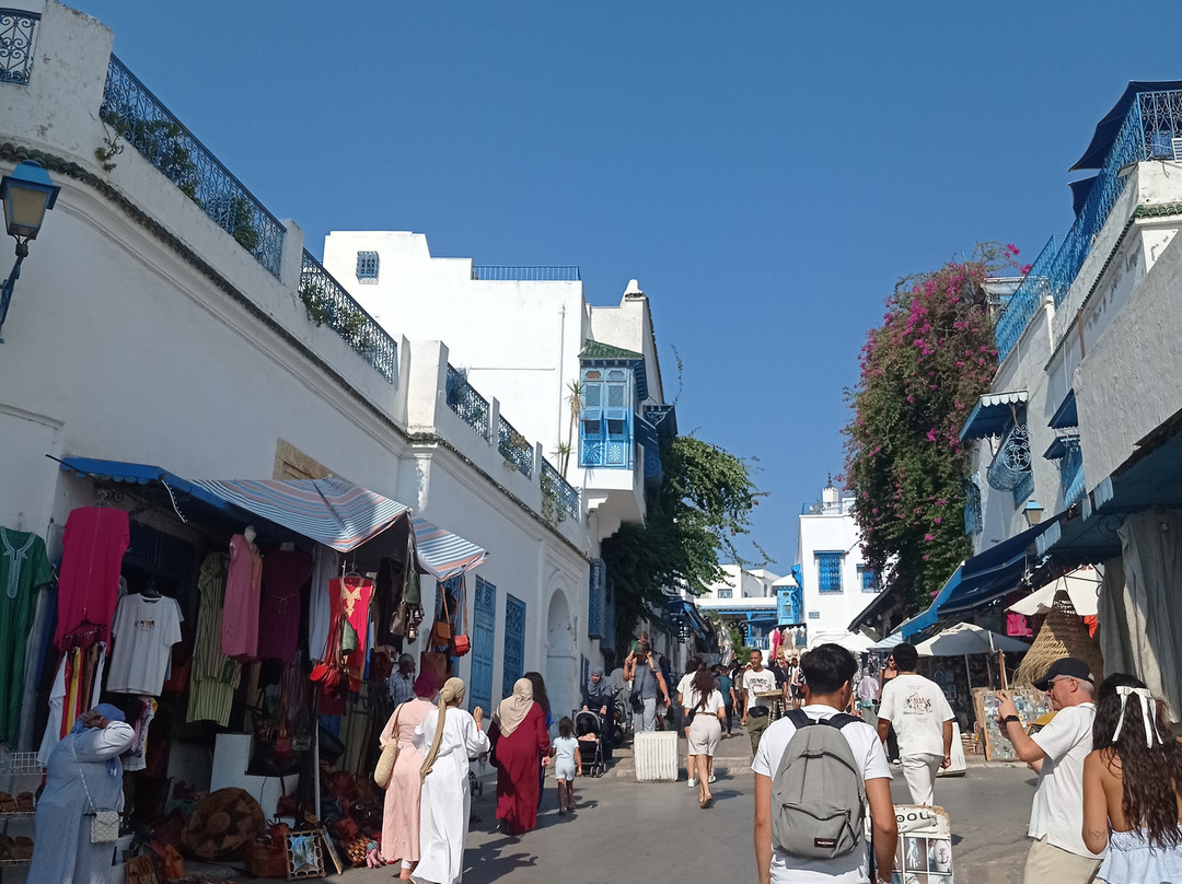 Sidi Bou Said Village-蓝白小镇必去景点