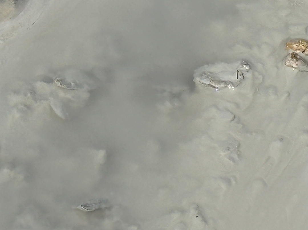 Lassen Volcanic National Park-Mineral必去景点