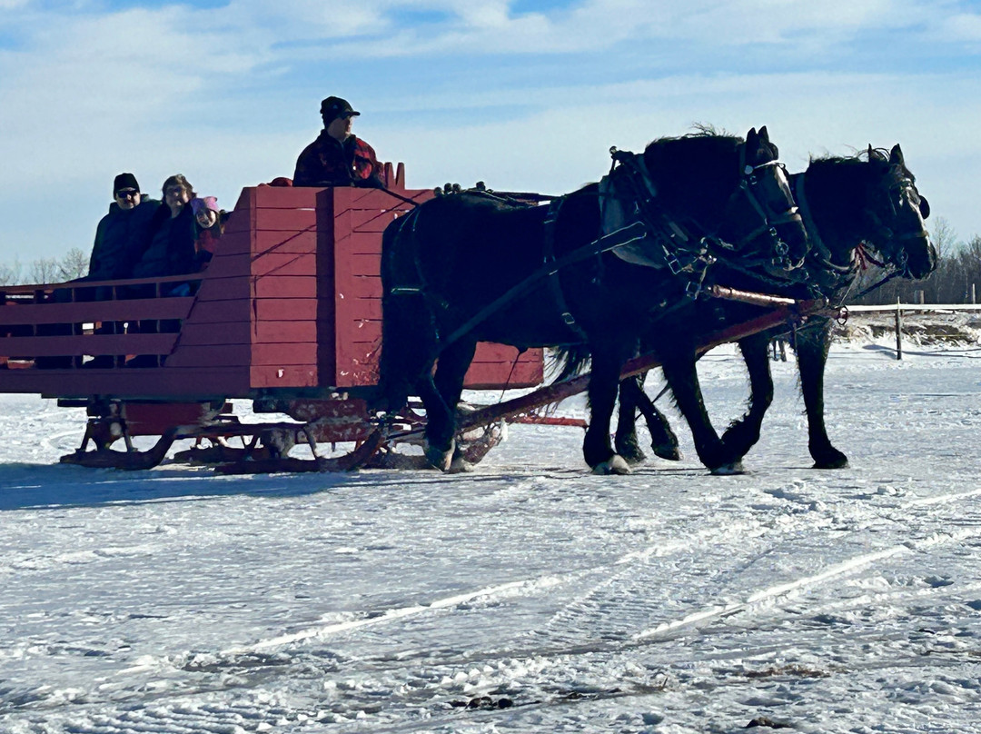 Putting Horse Ranch-斯普鲁斯格罗夫市必去景点