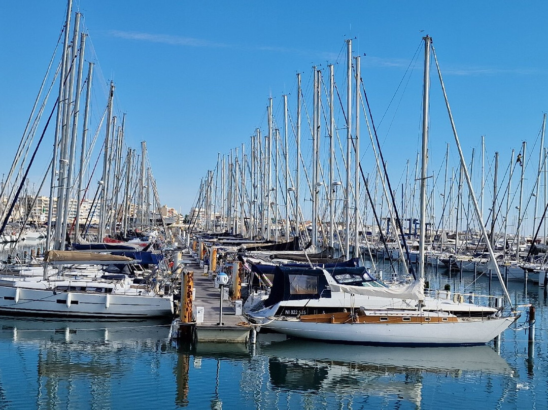 Port de Palavas-les-Flots-帕拉瓦莱弗洛必去景点