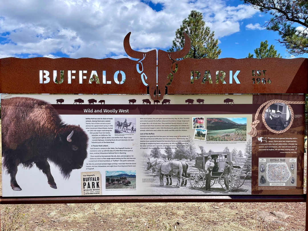 Buffalo Park-弗拉格斯塔夫必去景点