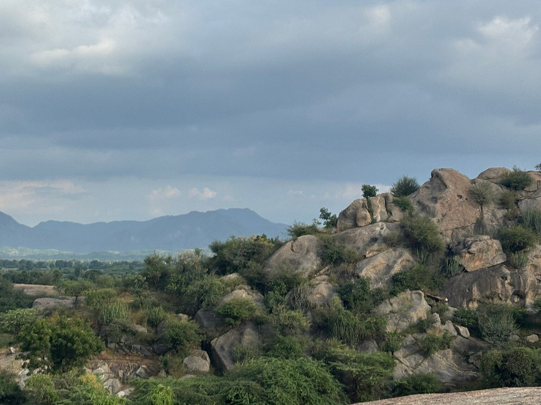 Jawai Empire Resort by Premier Hotels主图