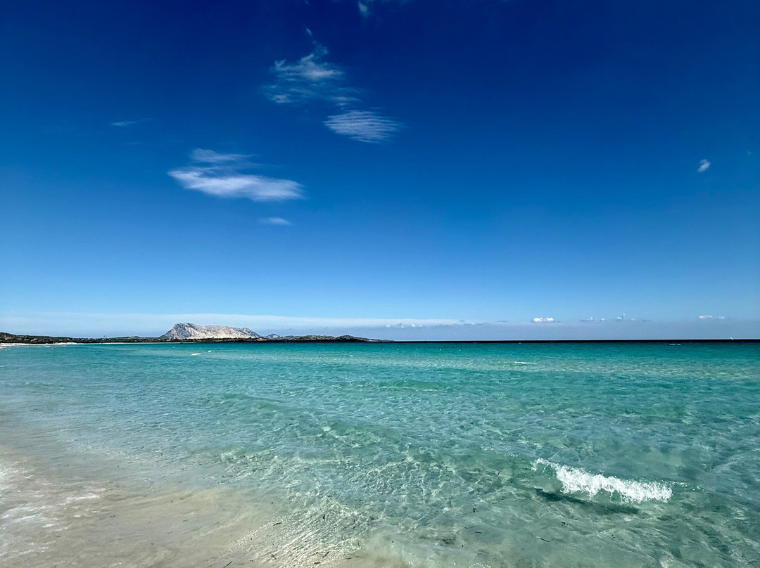 Spiaggia La Cinta-San Teodoro必去景点