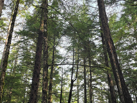 Sitka Bike & Hike-锡特卡必去景点