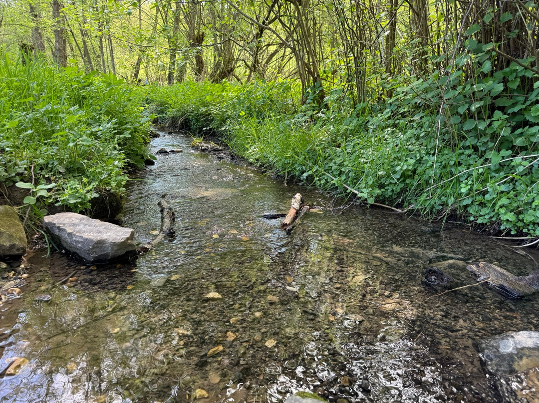 LVR-Freilichtmuseum Lindlar-Lindlar必去景点