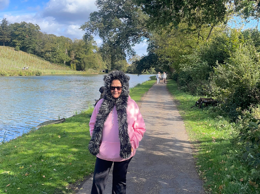 Painshill-科巴姆必去景点