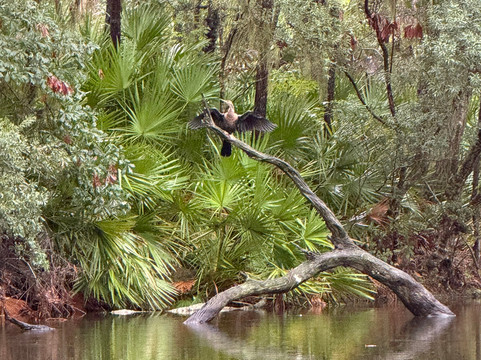 H2O Sports-希尔顿头岛必去景点