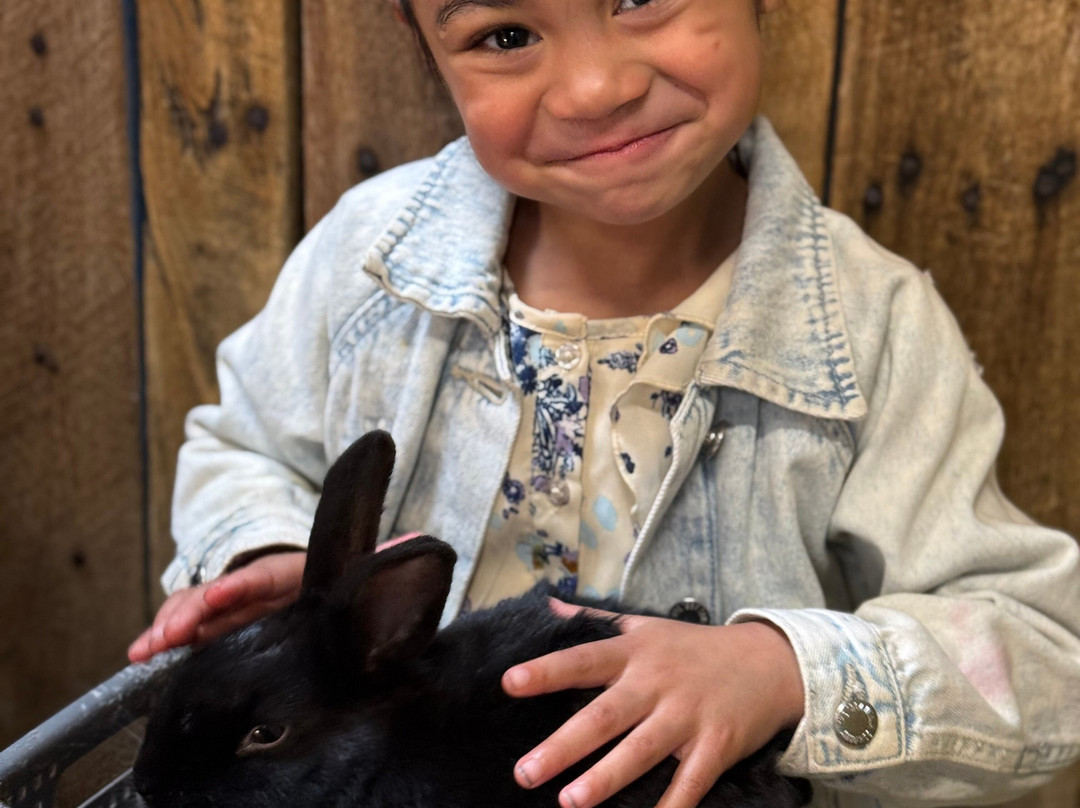 Animal Land Children's Farm-Diggers Rest必去景点