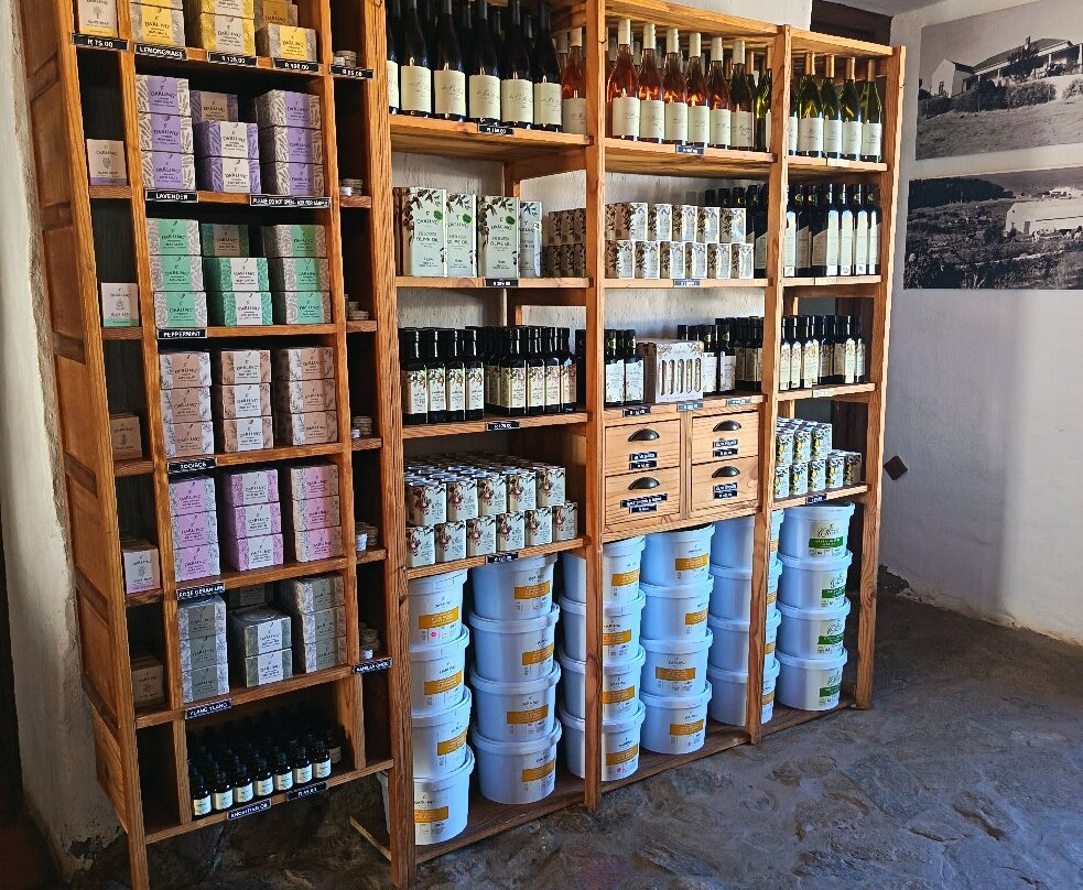 Darling Olives-Darling必去景点