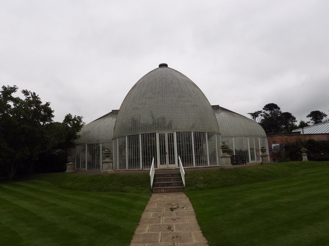 Bicton Park Botanical Gardens-Bicton必去景点