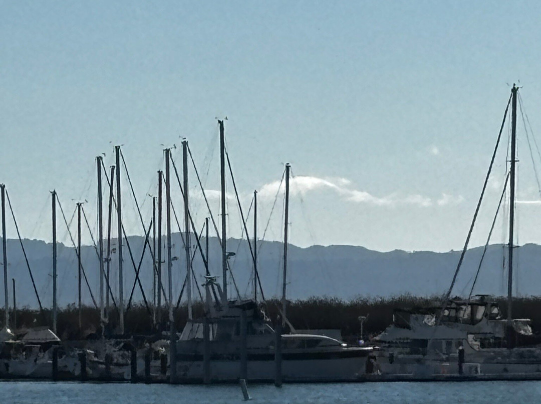Ballena Isle Marina-阿拉米达必去景点
