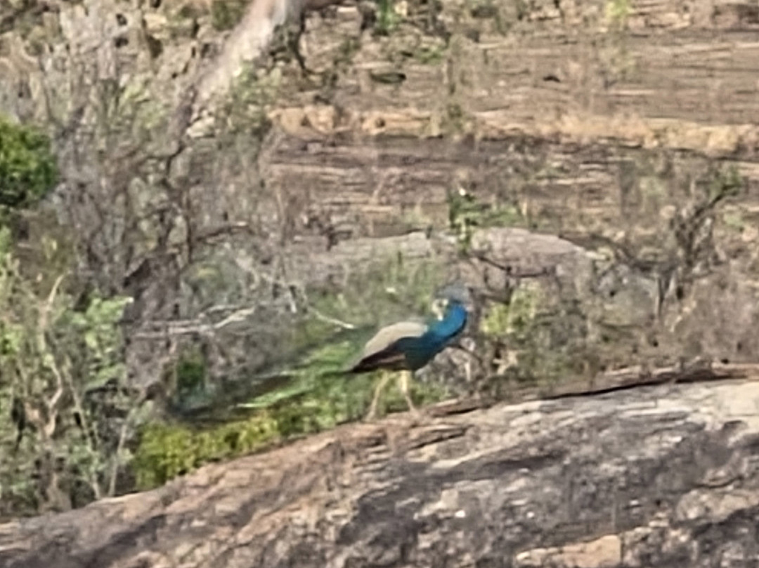 Kudakalliya Beach Houses主图